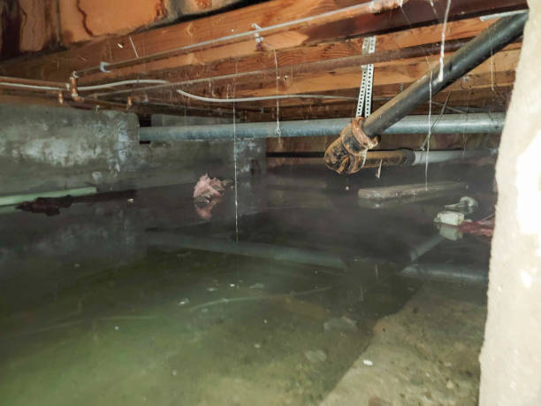 Best Basement water damage restoration  in Kemmerer, WY