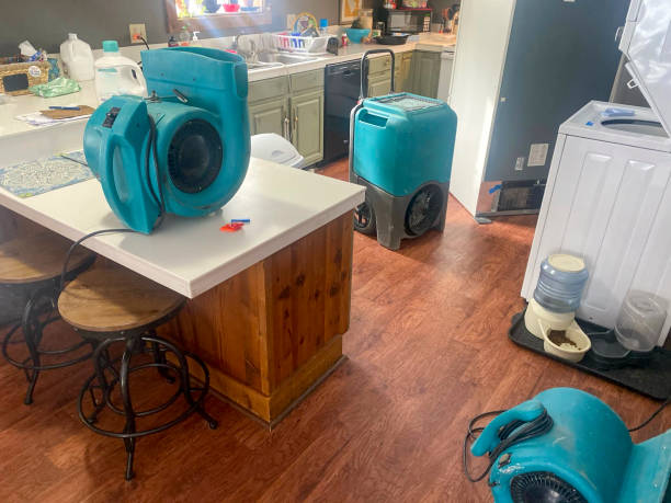 Best Flooded house restoration  in Kemmerer, WY