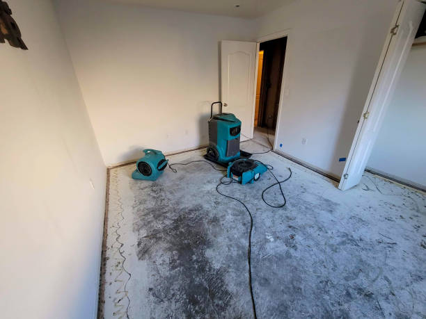 Best Flood restoration services  in Kemmerer, WY