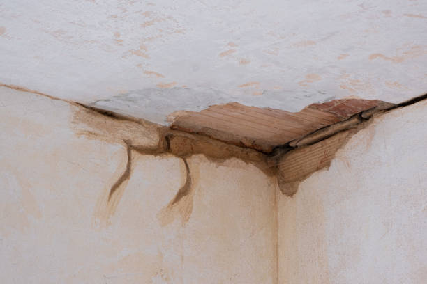 Best Water damage restoration cost  in Kemmerer, WY