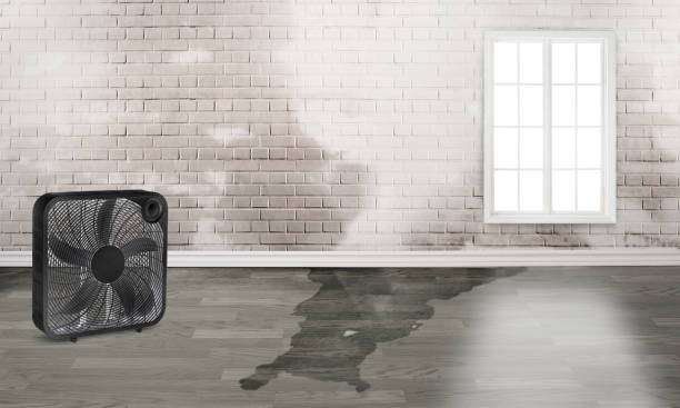 Best Water damage restoration process  in Kemmerer, WY