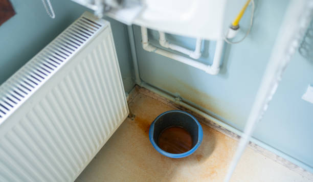 Best Water damage restoration mold remediation  in Kemmerer, WY