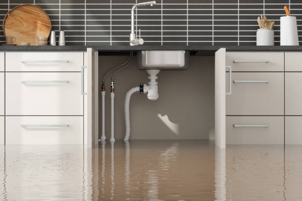 Best Carpet water damage restoration  in Kemmerer, WY